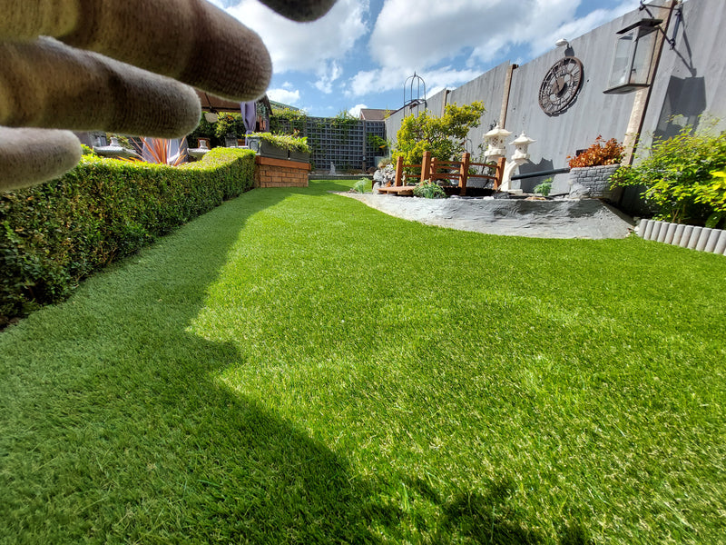 green lawn with hedges on the left and plants in pots on top right hand side of the picture